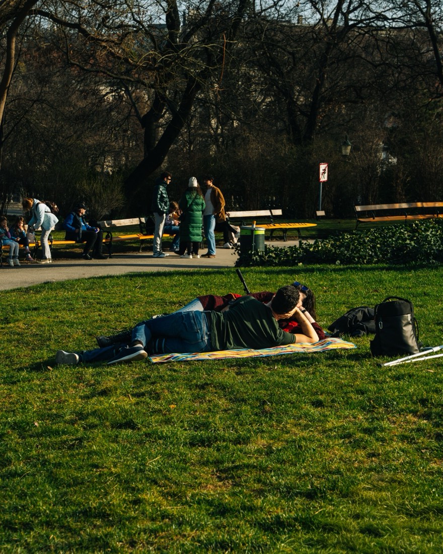 The Quiet Lawn